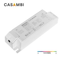 8-24W CASAMBI RGB 120-277V CC