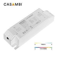 8-24W CASAMBI RGBW 120-277V CC