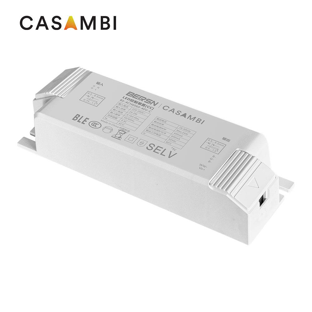 8-24W CASAMBI RGBW 120-277V CC