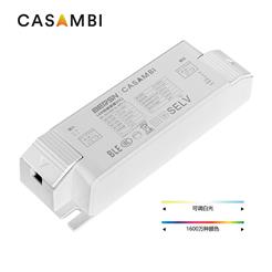 8-20W CASAMBI RGBTW 120-277V CC