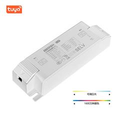 8-24W TUYA RGBW 40V CC