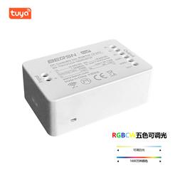 BS-TYWCV1224-180RGBTW 5路